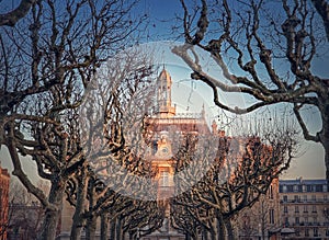 City Hall of Asnieres as seen through the leafless sycamore trees alley outdoors