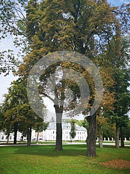 City Hall and park of Biala Podlaska in Poland