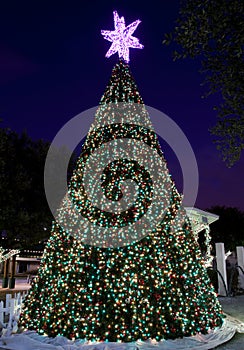 La città sale esterno albero di natale 