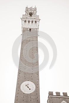 City Hall Tower, Piazza del Campo Square, Siena