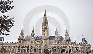 City Hall in Vienna at the Christmas Market.