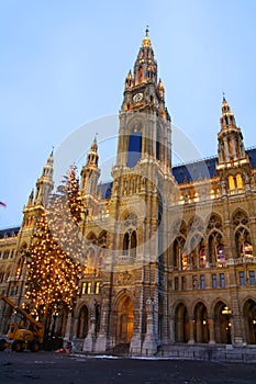 City hall of Vienna with Christmas tree in front