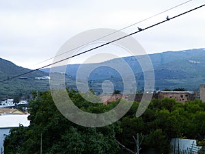 City of Haria and it`s surrounding nature, Lanzarote, Canary Islands