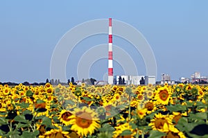 City heating plant with chimney