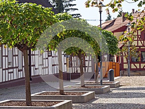 The city of kandel in german pfalz