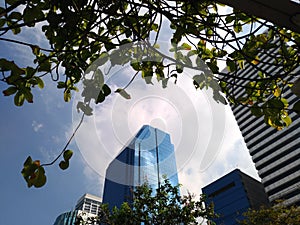 City landscape and landmark with blue sky cloud tree foreground