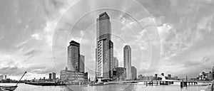 City Landscape, panorama, banner - view on Tower blocks in the Kop van Zuid neighbourhood of Rotterdam