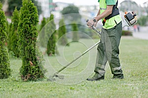 City landscaper cutting grass around planted thuja trees with string lawn trimmer