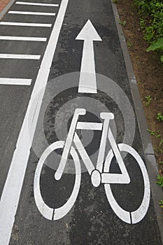 City lane for cyclists and skaters. Bicycle signs on the road. Bicycle road with arrow. Bicycle and modern ecological