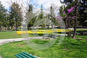City of Leskovac in southern Serbia - view of central city park