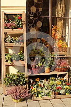 City life - decoration in front of floristÃÂ´s photo