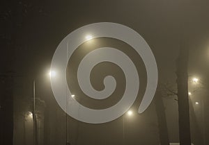 city lights at night in a fog  urban park