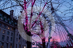 ces al atardecer y de fondo el London Eye