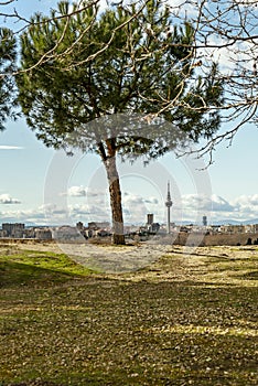 the city of Madrid with its TV tower called El Piruli seen from a park on the outskirts photo