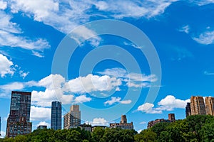 city nature landscape with skyscraper. nyc and manhattan. scenic landscape of central park ny and skyscraper. urban