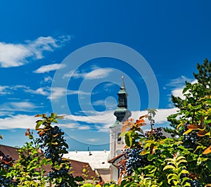 Letné pozadie s mestom Nitra, Slovensko