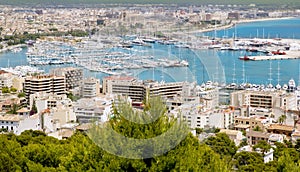 City of Palma de Mallorca Balearic island