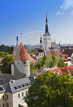 City panorama from an observation deck of Old city's roofs. Tallinn. Estonia.