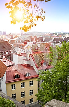 City panorama from an observation deck of Old city`s roofs. Tallinn. Estonia