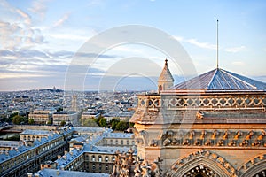 Looking over Paris from the Notre Dame Cathedral