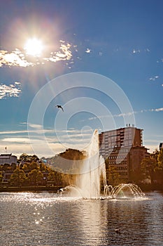 City Park at autumn