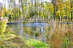 La ciudad en otono soleado, polonia 