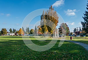 City Park In Autumn 2