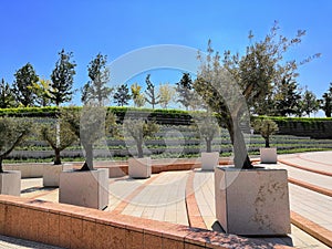 City Park blue sky, tiles, lights, trees background. The track is lit by modern street lights