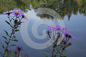 City Park in Boise, Idaho