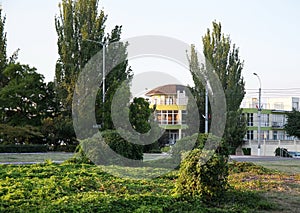 city park in the center of the city in the rays of the setting sun in summer