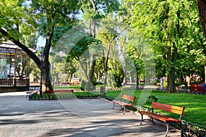 City park at center town, summer season, bright sunlight and shadows, beautiful landscape, home and people on street