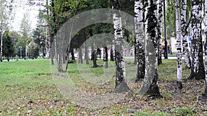 City Park in the city with autumn leaves