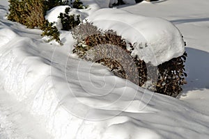 City Park covered with snow 1