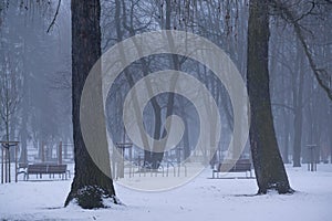 City park covered in the snow during cold Winter in the city