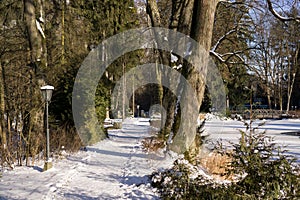 Městský park pokrytý sněhem během chladné zimy ve městě