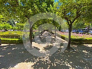 City park - Jardines de Pedro Luis Alonso, Malaga, Spain