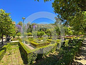 City park - Jardines de Pedro Luis Alonso, Malaga, Spain