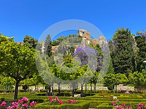 City park - Jardines de Pedro Luis Alonso, Malaga, Spain