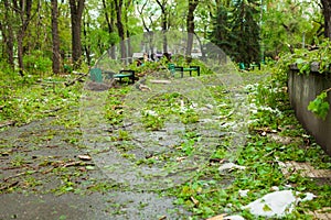 City park after natural cataclysm. Falling tree and branches after natural disaster. City park after catastrophe. Calamity in spri