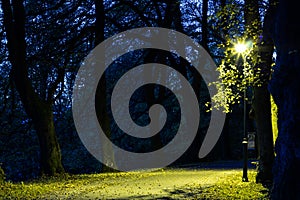 City park in the night scenery with a place to rest. Landscape of night city park in the spring. Benches, paths and lights.