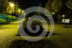 City park in the night scenery with a place to rest. Landscape of night city park in the spring. Benches, paths and lights.