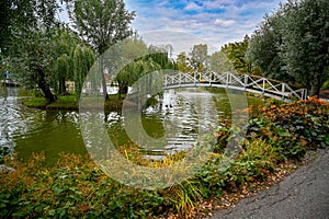 City park with pond and bridge to small island