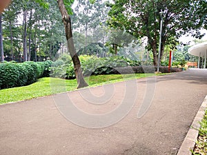 The city park road is filled with green plants on either side photo