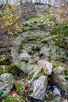 City park rockery at November, middle Europe