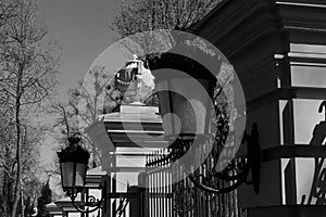 In a city park with sculptures, lanterns cast their shadow on the fence.