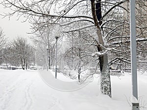 City park after snowfall at day