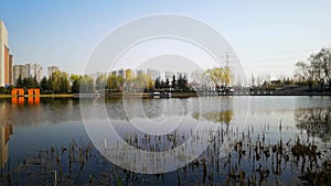 City Park in spring, Hancheng Lake Park in the northern suburb of Xi`an, Shaanxi Province, China