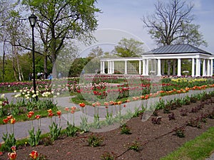 City park in Springtime