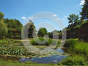 Beautiful Hoehenpark Killesberg in Stuttgart photo