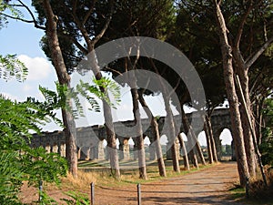 Ancient aqueduct in a park to Rome in Italy.